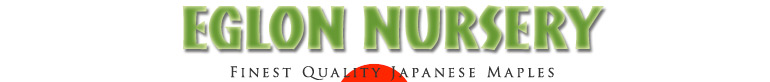 Eglon Nursery.com