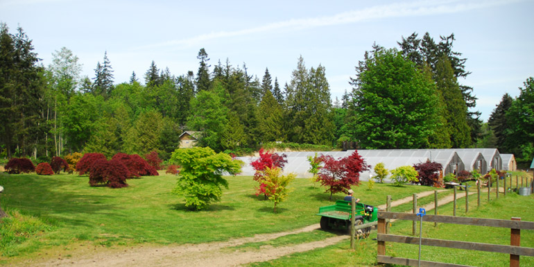 Eglon Nursery